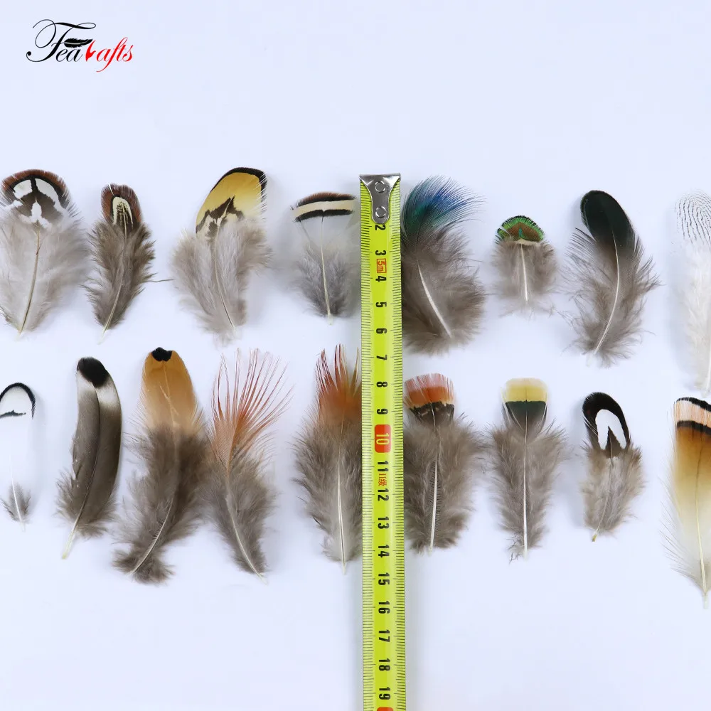 50PCS Natural Pheasant Rooster Feathers Decorative for DIY Earrings Creation Materials Clothes Sewing Accessories Plumas Crafts