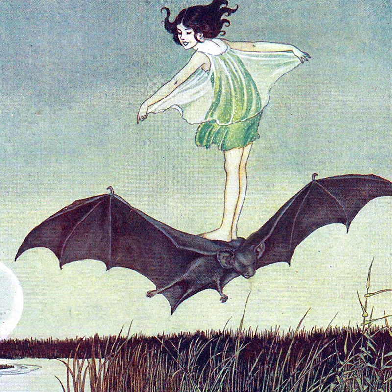 Vintage Fairy Tale Illustration Poster Fairy Riding a Bat Wall Art Canvas Painting Woodland Painting Full Moon Antique Witch Art